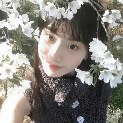 铁耙